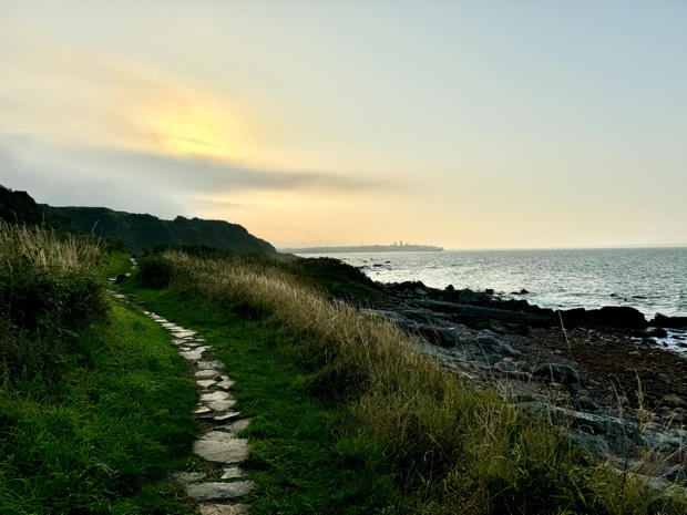 The Losses of a Yes: Reflections on What We Take and Leave Behind in New Chapter