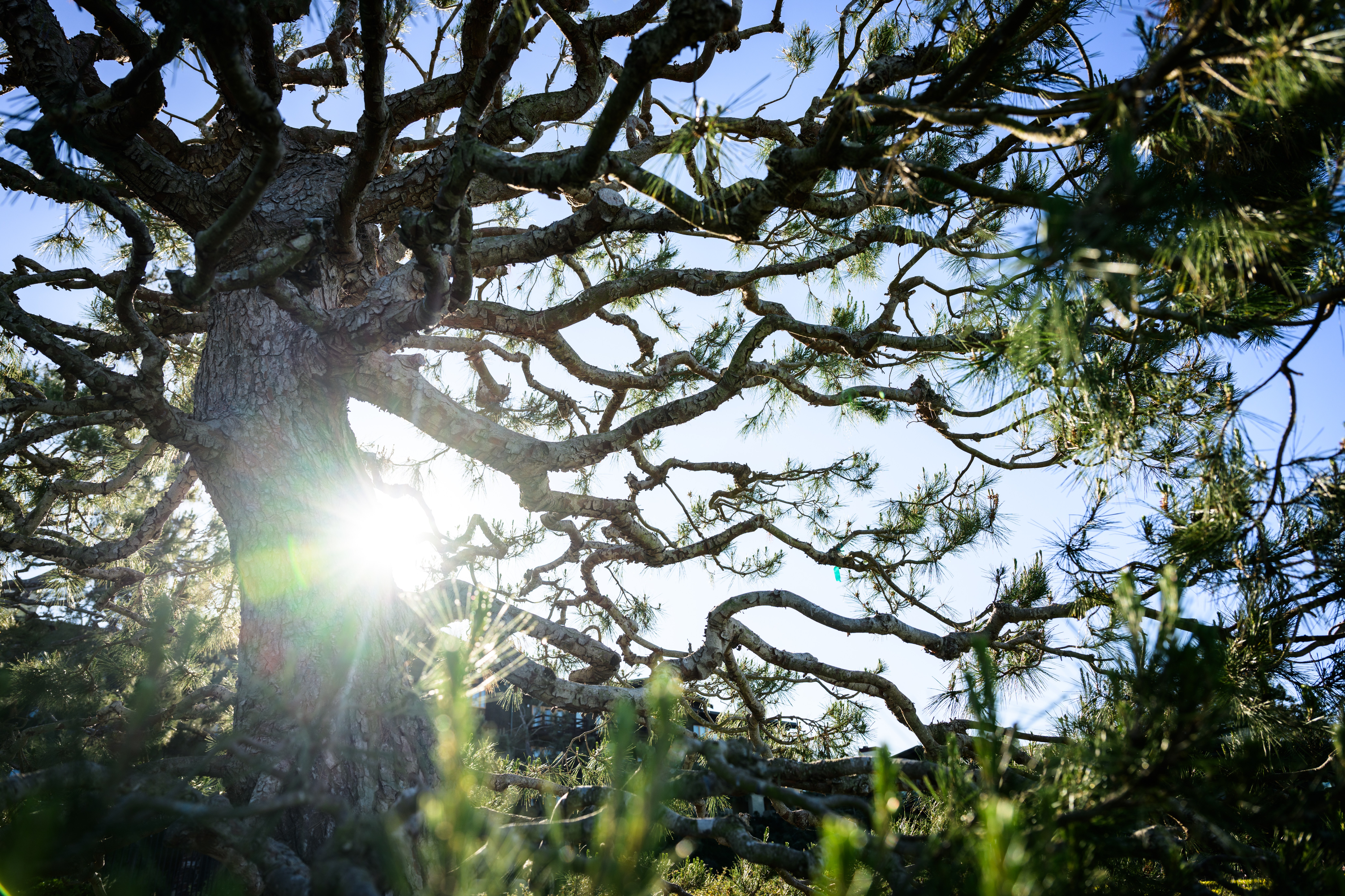 Meeting God in Scripture: The Hidden Yet Powerful Kingdom of God (Part 3)