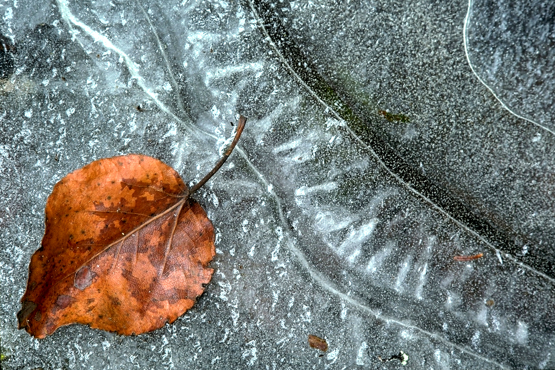 Walking with You to Hope: A Therapist’s View